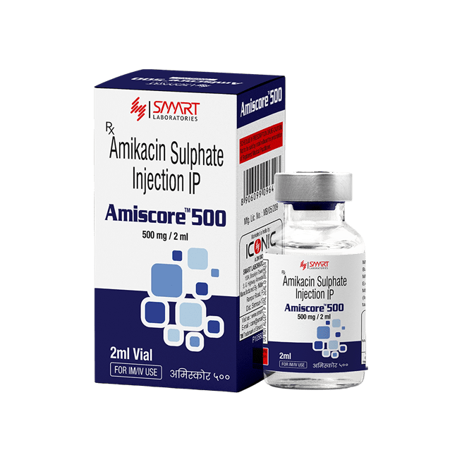 AMISCORE 500 INJECTION 2ML