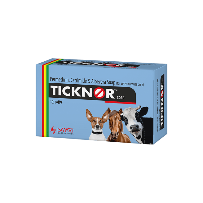 TICKNOR SOAP 75GM